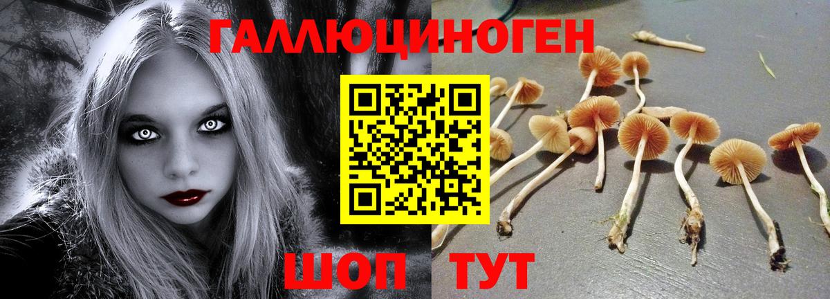 Галлюциногенные грибы Cubensis  сколько стоит  Ступино  Псилоцибиновые грибы прущие грибы  Вход с VPN 