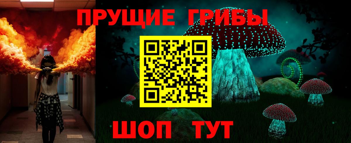 Галлюциногенные грибы Psilocybe Ступино